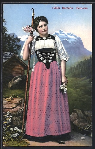 Cartolina berna bernese in - cartolina,