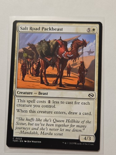 Salt road packbeast - road,