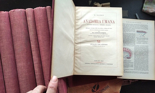 Enciclopedia volumi - in,