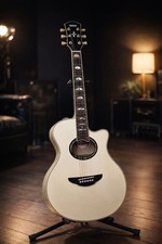 Chitarra elettrica acustica