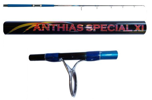 Canna anthias vertical jigging - vertical,