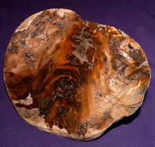 Legno Pietrificato Mirto