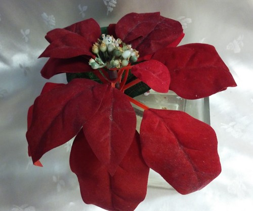 Poinsettia rossa artificiale - poinsettia,