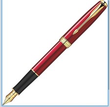 Penna stilografica Parker