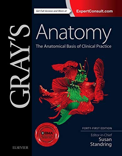 Gray anatomy the - anatomy:, anatomical
