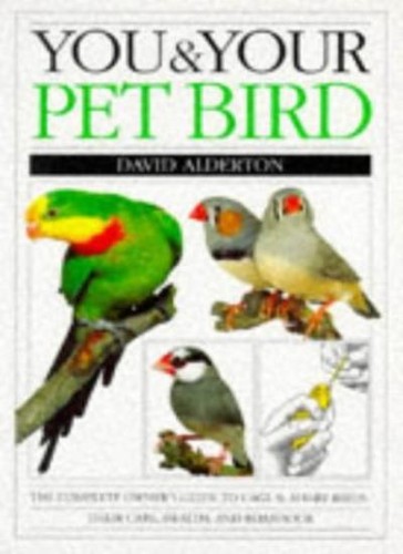 You your pet bird - pet,