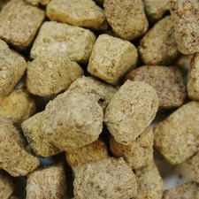 Artemia salina liofilizzata