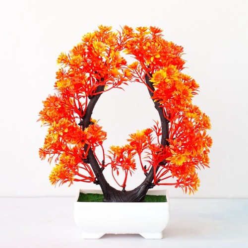 Bonsai fiore prugna - di,