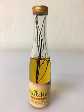 Mignon Miniature Millefiori
