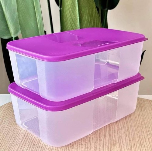 Tupperware freezer mates - freezer,