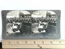 Pianificazione Per Il Futuro