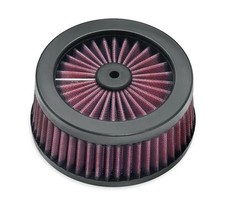 SCREAMIN' EAGLE Filtro