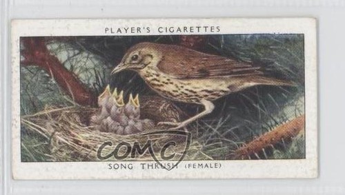 1937 player birds their - birds,