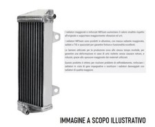 Radiatore Beta RR 350 (11-19)