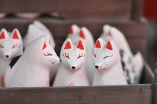 Nikon NUOVO OBIETTIVO NIKKOR