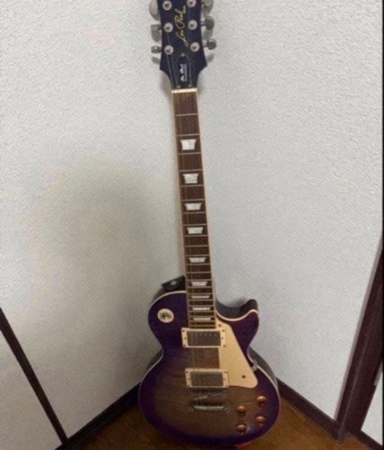 Custodia per chitarra