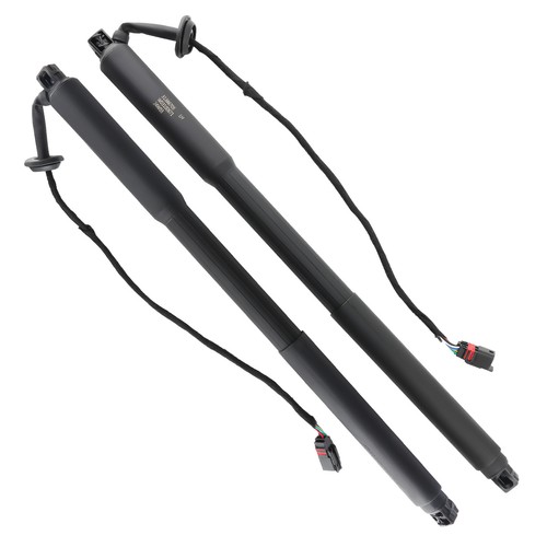 Molle gas portellone - a,