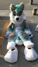 Husky Dog Fox Mascot Costume