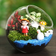 Vaso sfera vetro trasparente