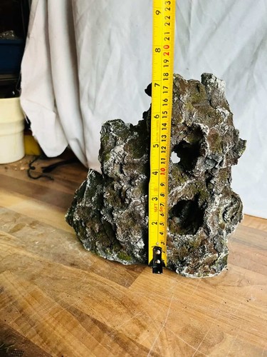 Piantagione roccia bonsai - di,