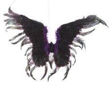 Ali piumate nere viola - ali, nere/viola