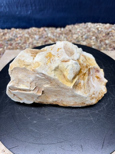 Fort payne chert rock - fort,