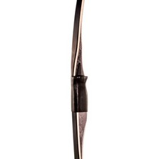Fred bear montana arco - fred,