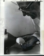 Foto stampa 1974 luci ad alta potenza usate per determinare la fertilità delle uova di tacchino