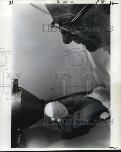 Foto stampa 1974 - , alta