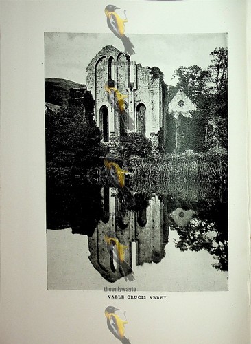 Abbazia valle crucis - di,