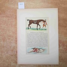 THE PORTRAITURE OF SEDBURY