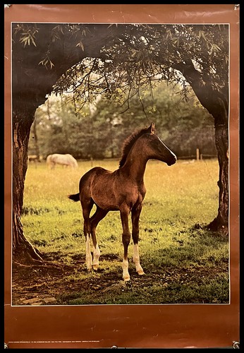 1990ca manifesto poster - 1990ca,