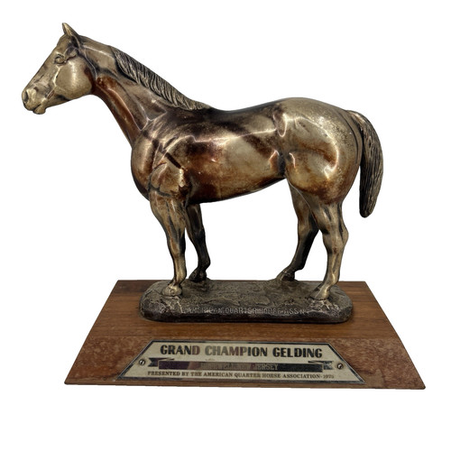 American quarter horse - american,