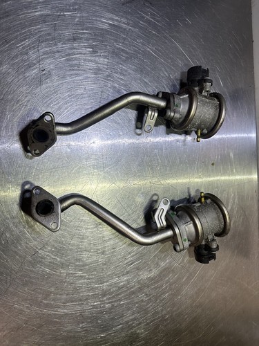 Coppia valvole combinate - , egr