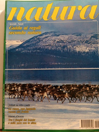 Natura oggi 1992 renna - natura,