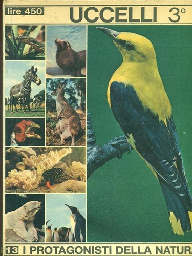 Uccelli etologia zoologia - 3, /