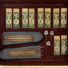 CORPO FORESTALE DELLO STATO ALAMARI IN METALLO PIN E MOSTRINE (tutto Insieme)