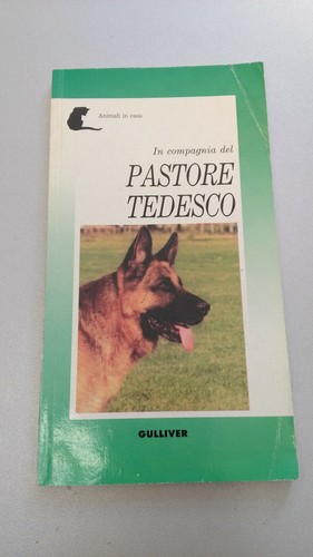Compagnia del pastore - compagnia,