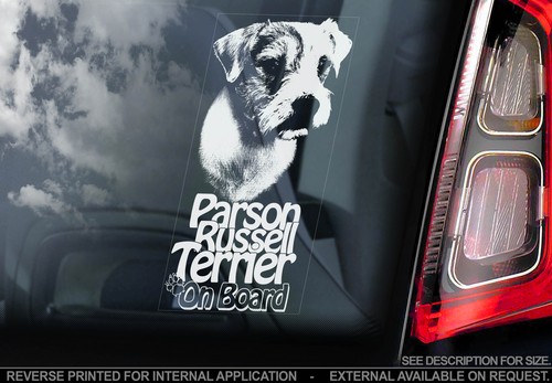 Parson russell terrier - russell,