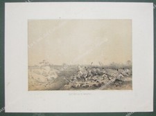 MAGENTA. "BATTAGLIA DI