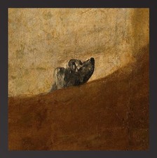 THE DOG  by Francisco Goya