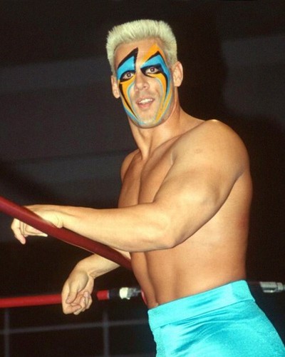Wcw famous wrestler sting - wrestler,
