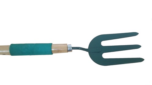 Forchetta forca denti - forca, a