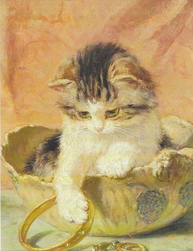 Nuova cartolina gatti - gatti, gattini