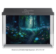 Fiori incandescenti foresta