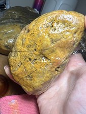 1lb 10.7oz Lake Superior Moss