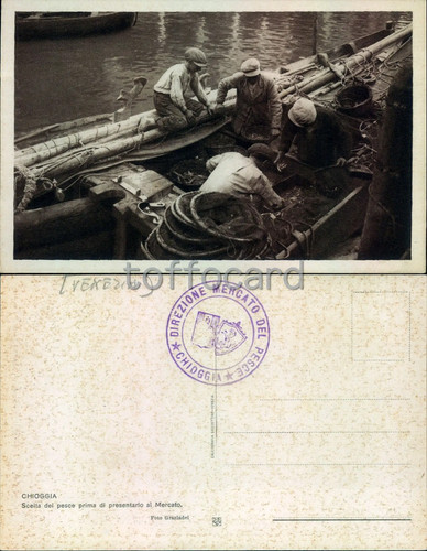 Offerta venezia - *offerta*,