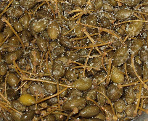 Cocunci frutto dei - frutto,