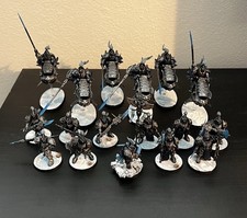 Painted Adeptus Custodes Army