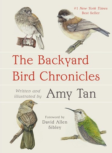 The backyard bird - backyard, chronicles